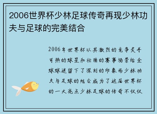 2006世界杯少林足球传奇再现少林功夫与足球的完美结合